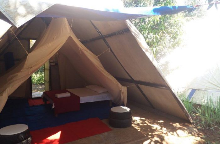 Glamping